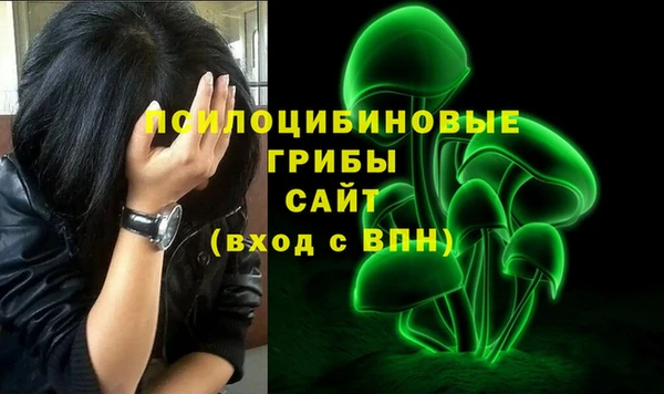 стаф Медногорск