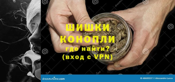 ГАЛЛЮЦИНОГЕННЫЕ ГРИБЫ Медвежьегорск