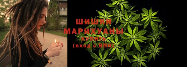 стаф Медногорск