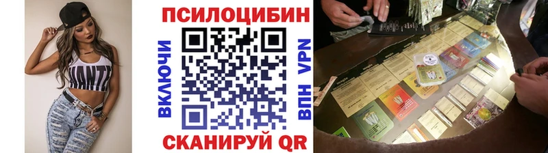 цены   Черемхово  гидра сайт  Псилоцибиновые грибы Cubensis 